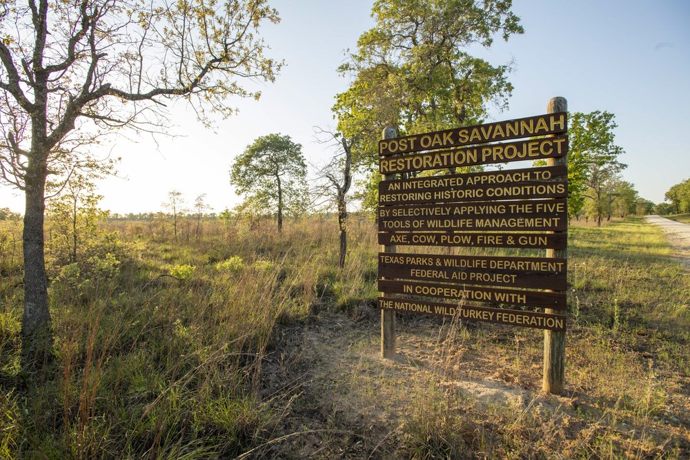 Sign about Post Oak Restoration Project along roadside in Gus Engeling WMA