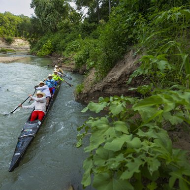 Team of 5 paddling racing canoe down the San Marcos River during Texas Water Safari