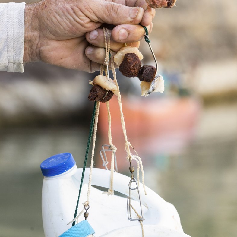 Hand holding up jugline equipment for catching catfish