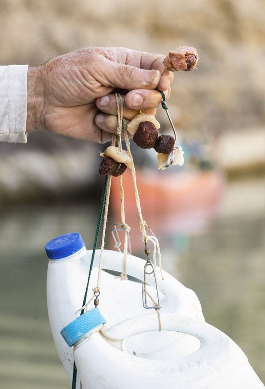 Hand holding up jugline equipment for catching catfish