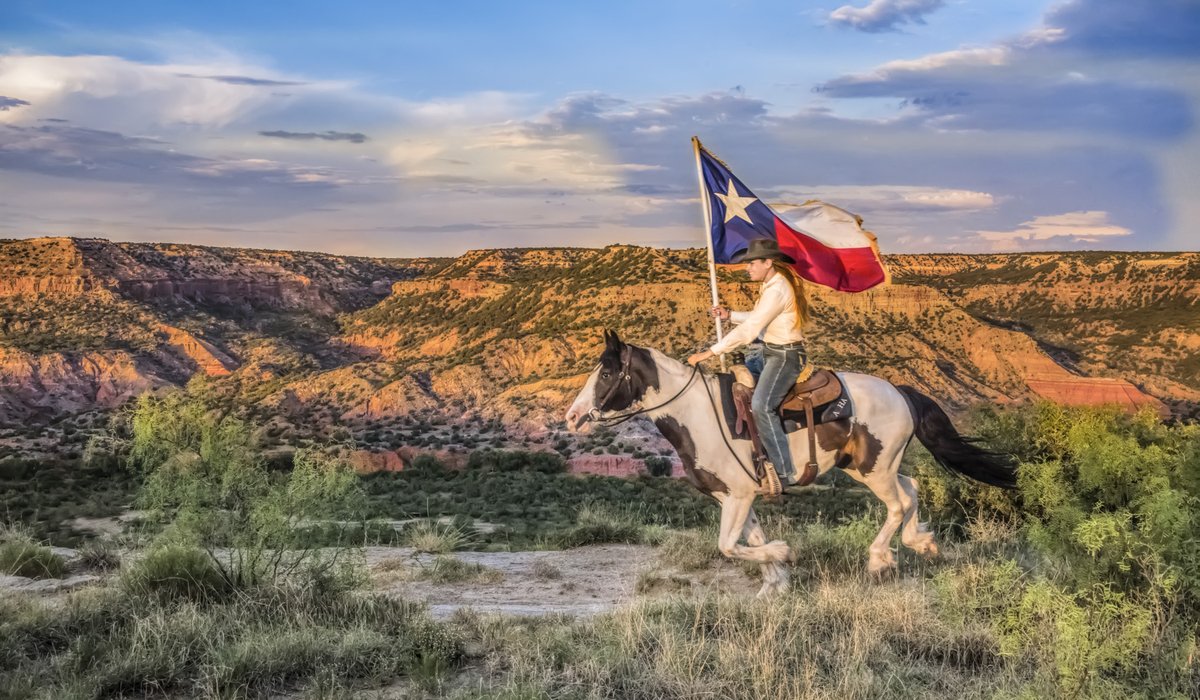Person on horseback with a Texas flag.