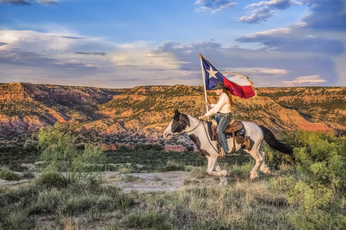 Person on horseback with a Texas flag.