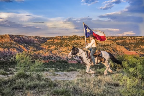 Person on horseback with a Texas flag.
