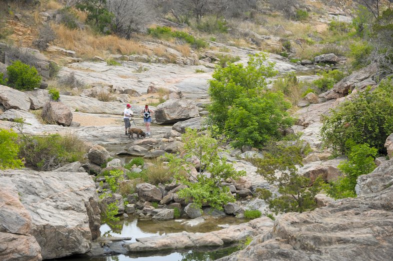 Two people and a dog walking near the water.