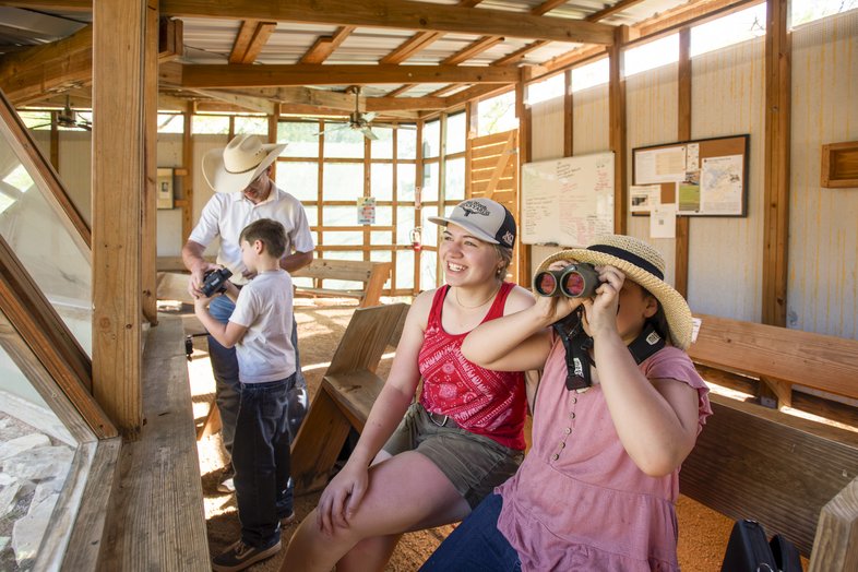 People with binoculars in a wildlife blind.