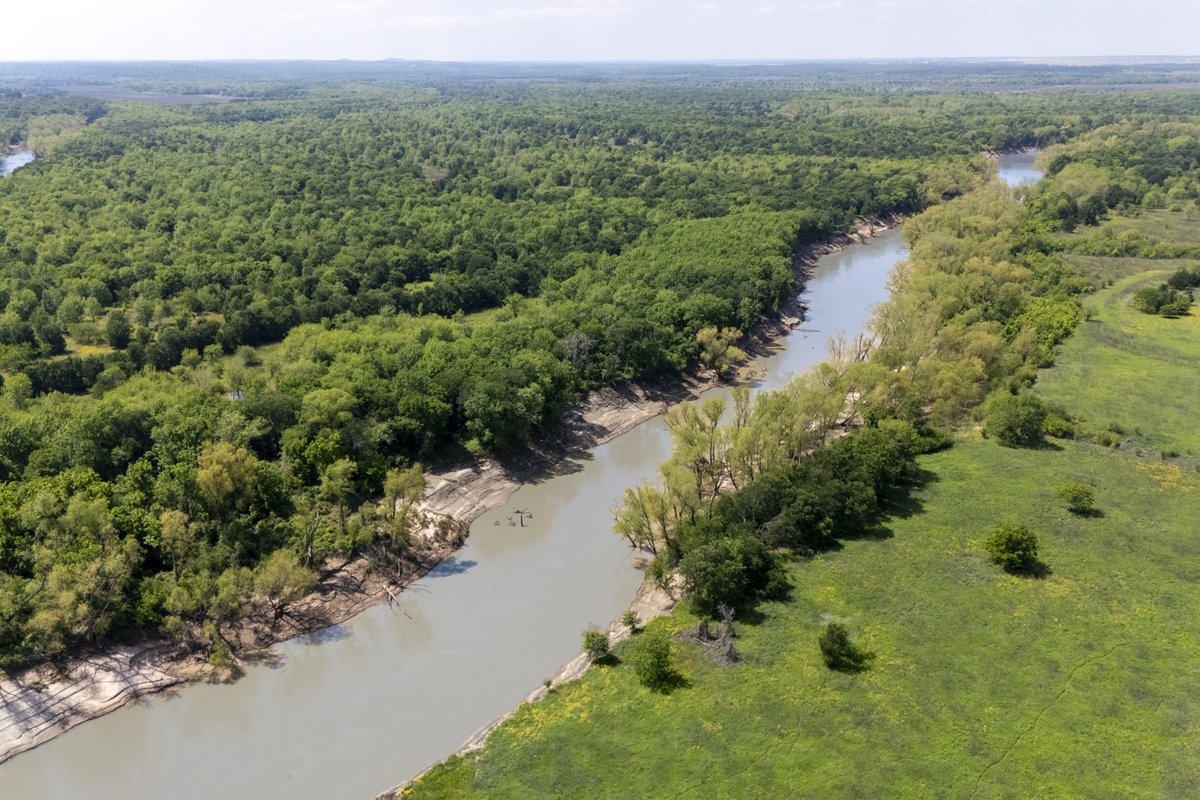 A river surrounded by trees and a field.