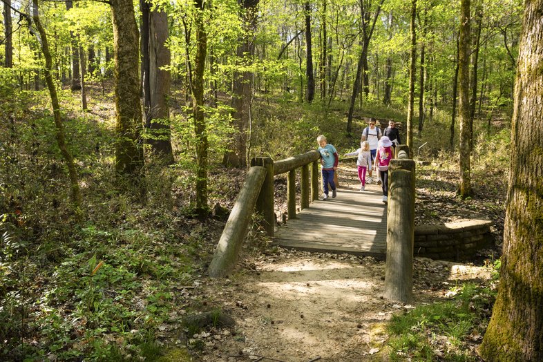 People walking a trail with a bridge in the woods.