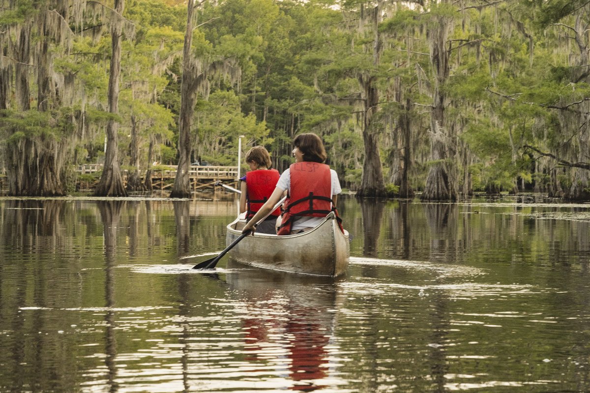 People paddling on a lake surrounded by trees.
