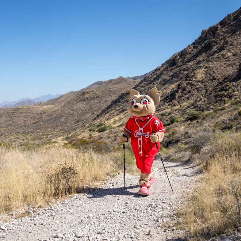 El Paso Chihuahuas mascot Chico hiking at Franklin Mountains.