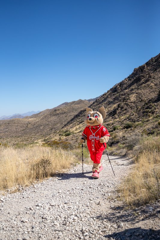 El Paso Chihuahuas mascot Chico hiking at Franklin Mountains.