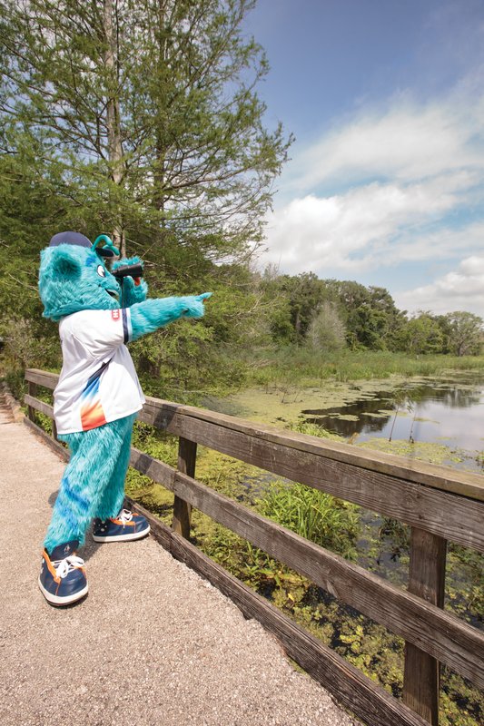 Sugar Land Space Cowboys mascot Orion birding at Brazos Bend.