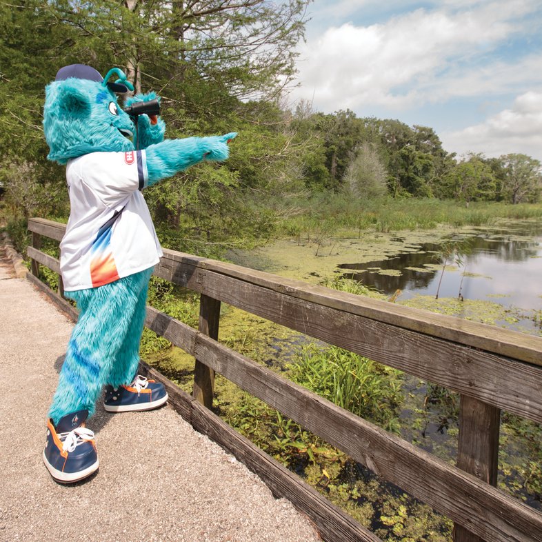 Sugar Land Space Cowboys mascot Orion birding at Brazos Bend.