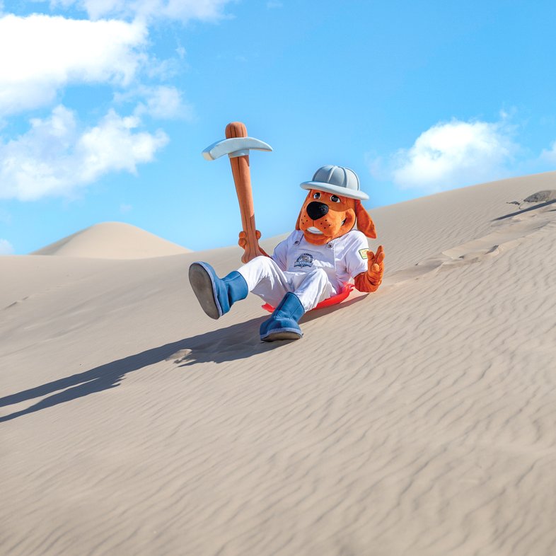 Midland RockHounds mascot Rocky sliding down Monahans.