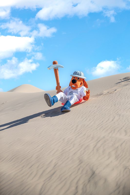 Midland RockHounds mascot Rocky sliding down Monahans.