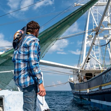 Spearfisherman barter for fresh shrimp from shrimp boat catch.