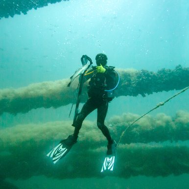 Man in ocean scuba diving.