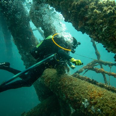 Man scuba diving and spearfishing.