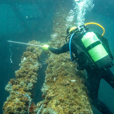 Man looking for fish underwater.