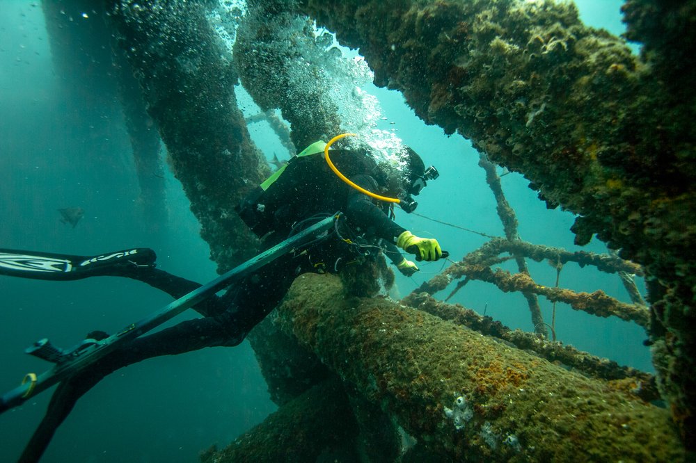 Man scuba diving and spearfishing.