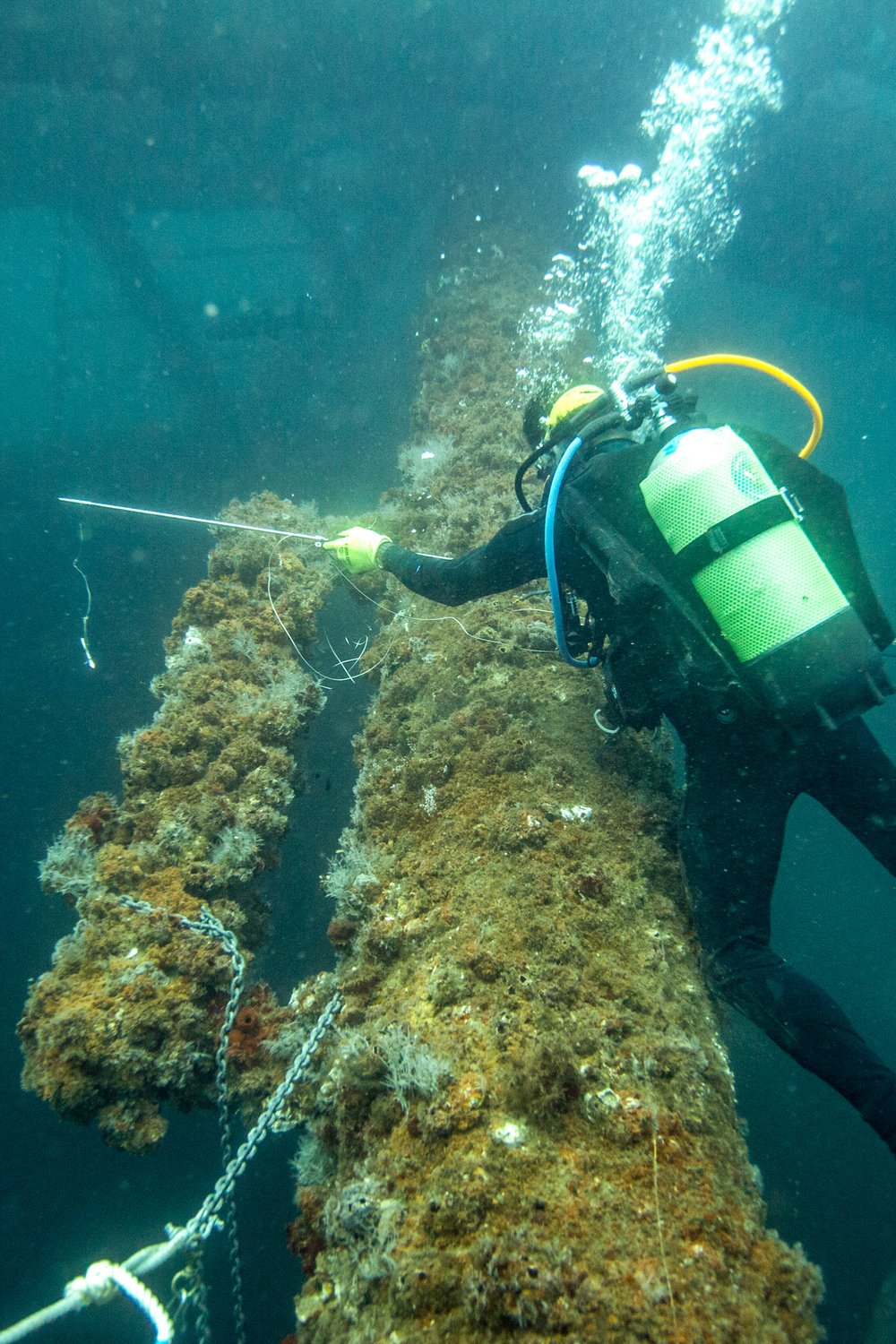 Man looking for fish underwater.