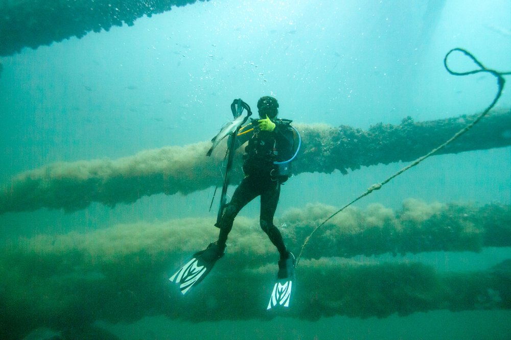 Man in ocean scuba diving.