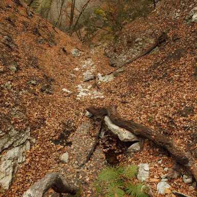 A view of Kronkosky State Natural Area.