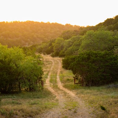 A view of Palo Pinto.