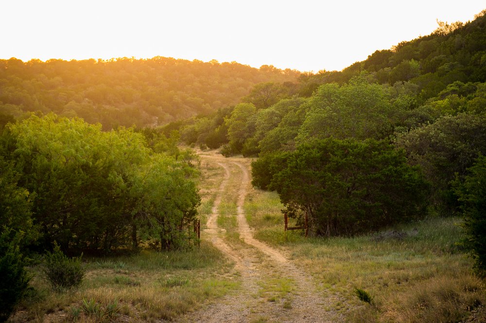 A view of Palo Pinto.