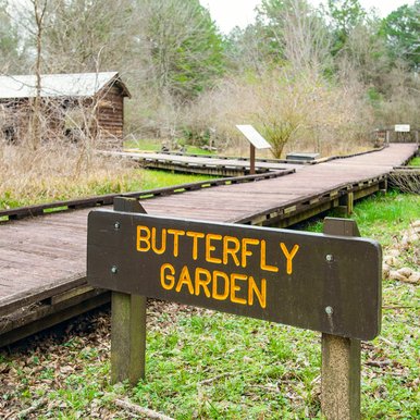 Butterfly garden at Lake Livingston.