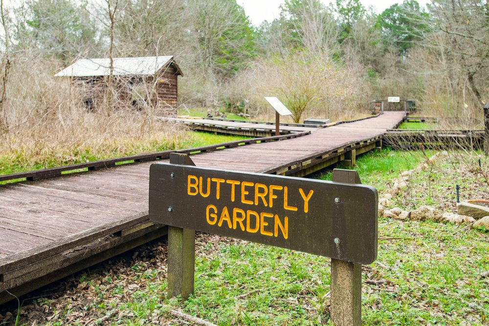Butterfly garden at Lake Livingston.
