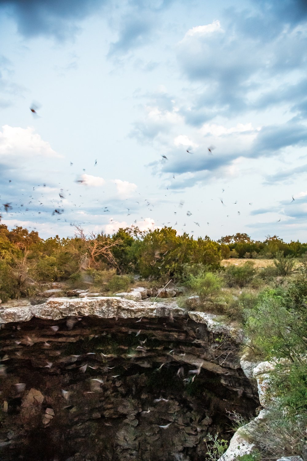 Devil's Sinkhole with bats emerging