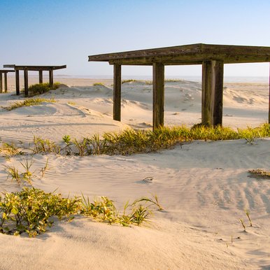 Beach shelter near sand dunes.