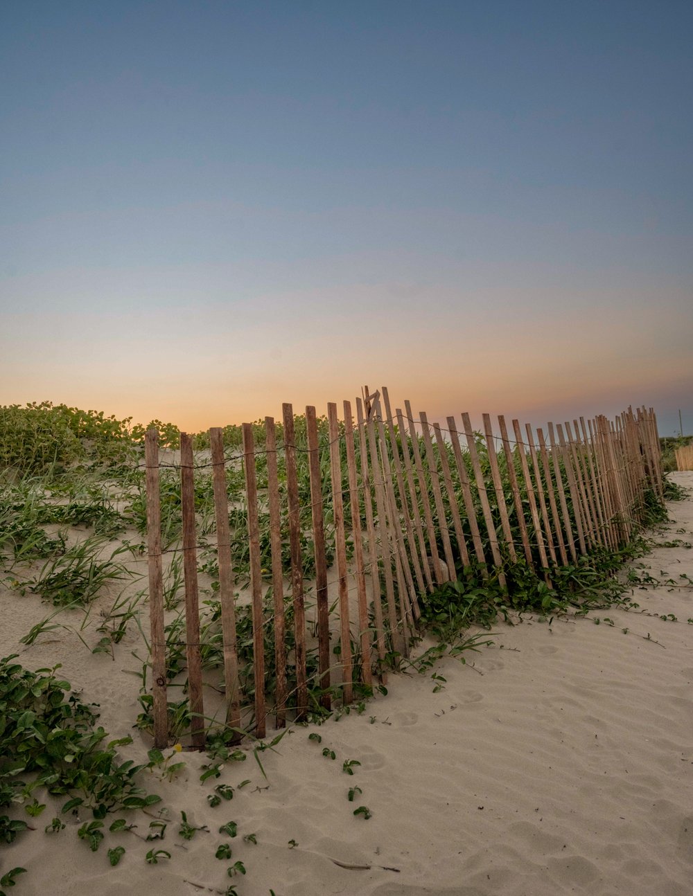 Sand dunes bordered by picket fence.