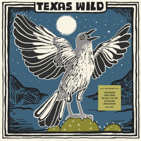 Album cover of a stylized mockingbird.