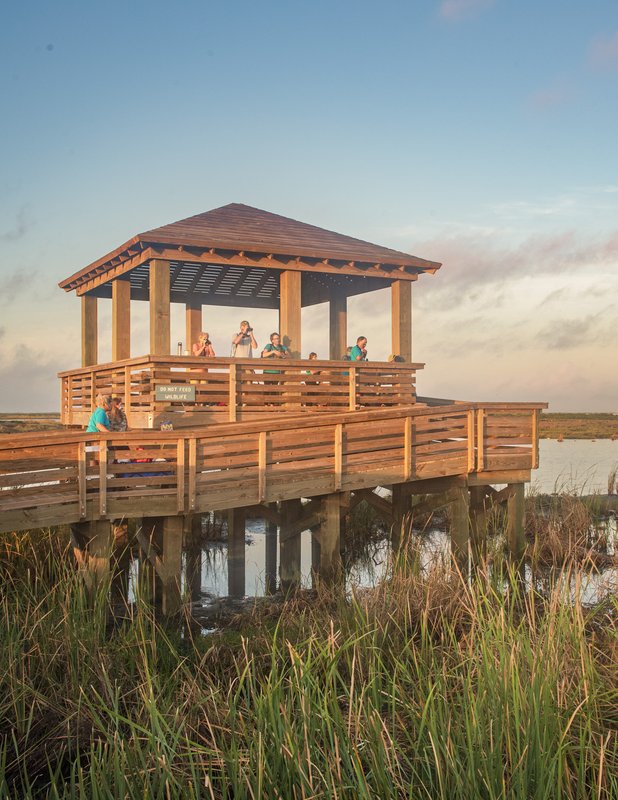 Birders gather on a wooden observation pier in Port Aransas