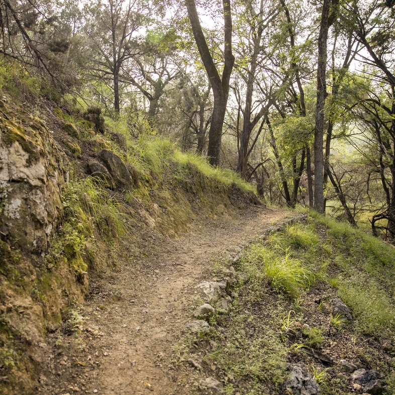 A dirt trail disappears around a bend in the hillside on the Curry Creek Overlook trail at Guadalupe River State Park
