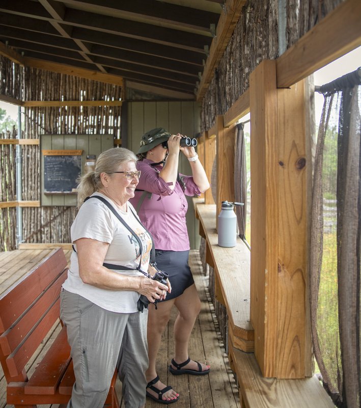 Two women holding binoculars looks for birds from inside a wooden bird blind