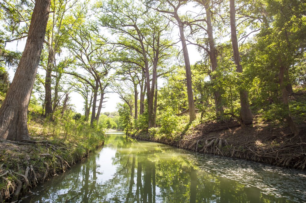 The sun filters through trees to illuminate the still waters of Honey Creek