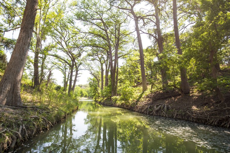 The sun filters through trees to illuminate the still waters of Honey Creek