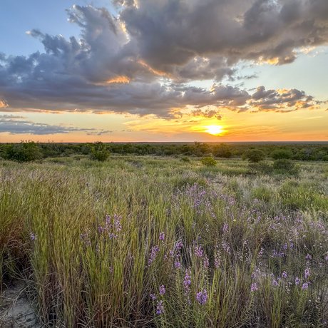 Sunset over the fields in Chaparral Wildlife Management Area