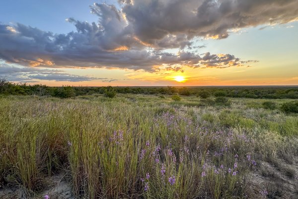 Sunset over the fields in Chaparral Wildlife Management Area