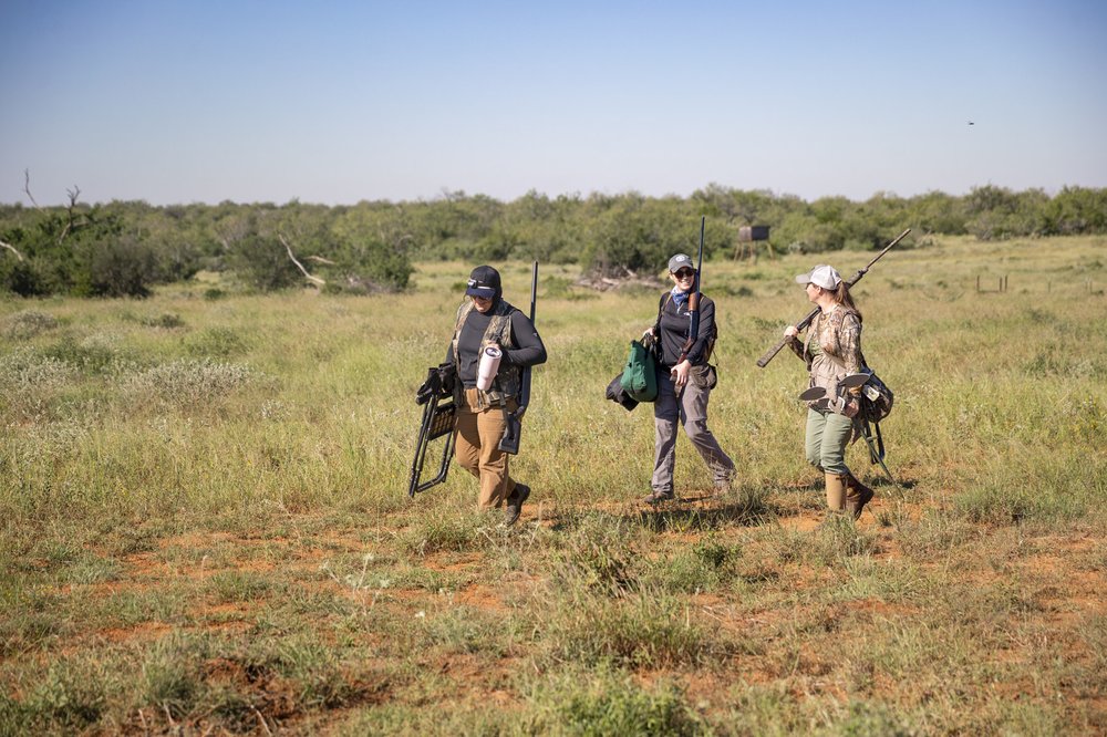 Three women dove hunters walk across the fields at Chaparral WMA