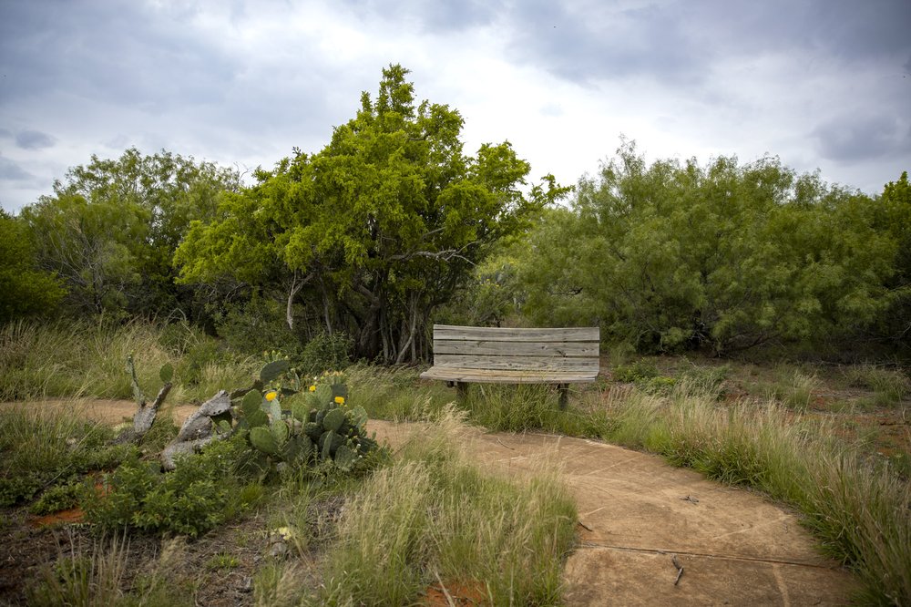 Bench along the interpretive trail in Chaparral WMA