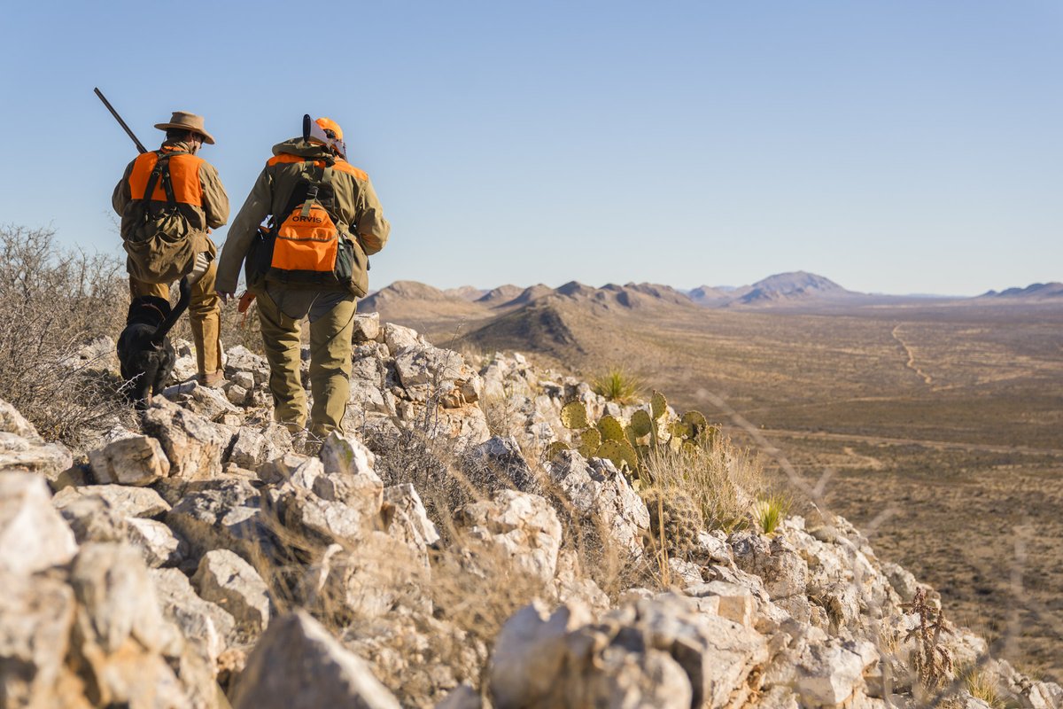 Two hunters in West Texas searching for quail