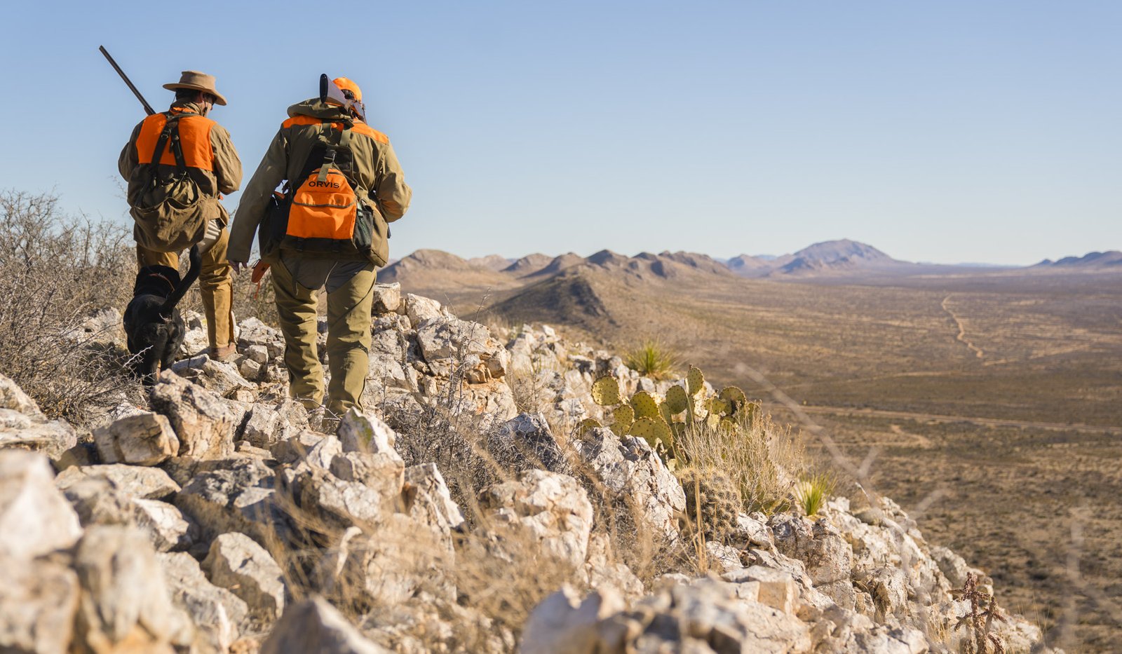Two hunters in West Texas searching for quail