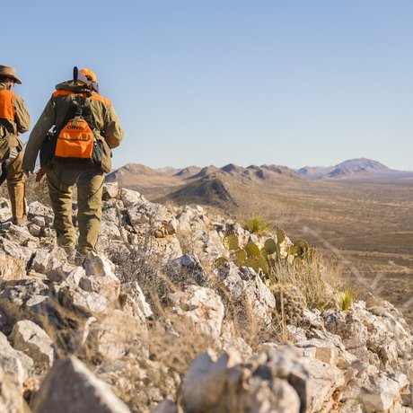 Two hunters in West Texas searching for quail