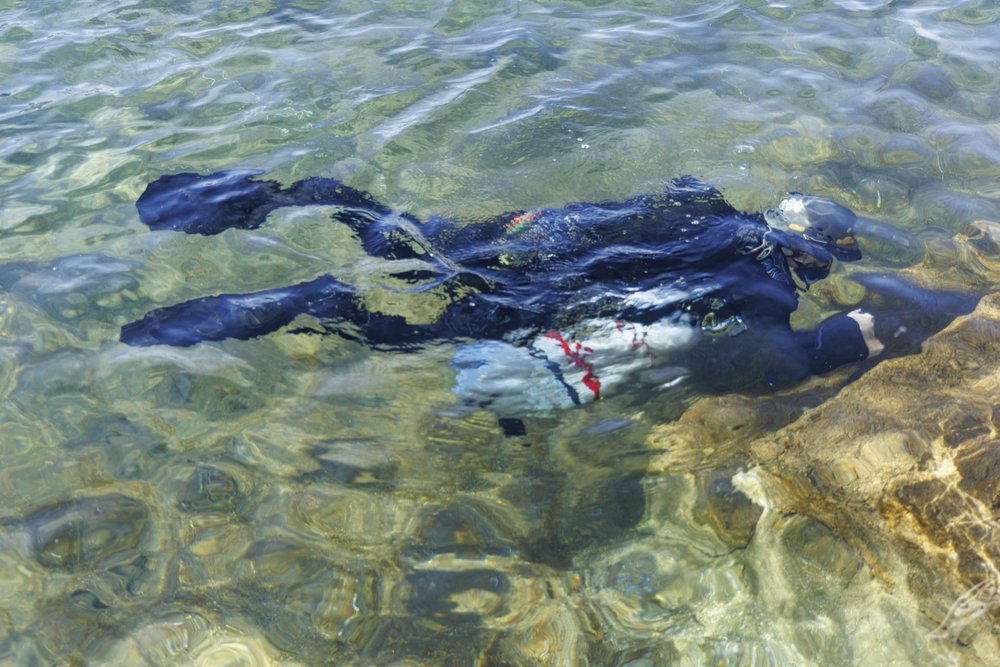 Scuba diver in the spring fed pool at Balmorhea State Park