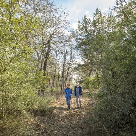 Two hikers walk through large trees on a trail to El Camino Real