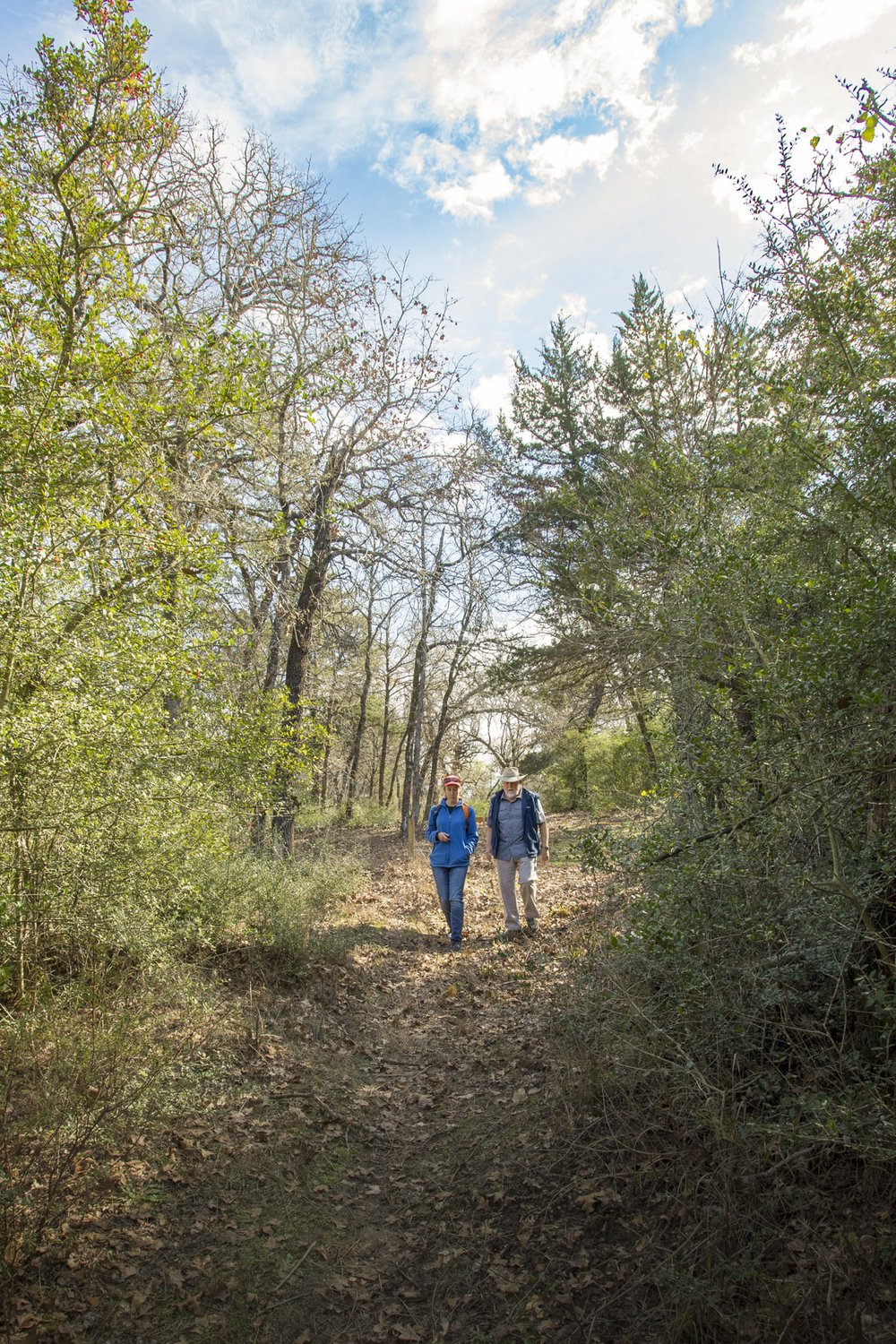 Two hikers walk through large trees on a trail to El Camino Real