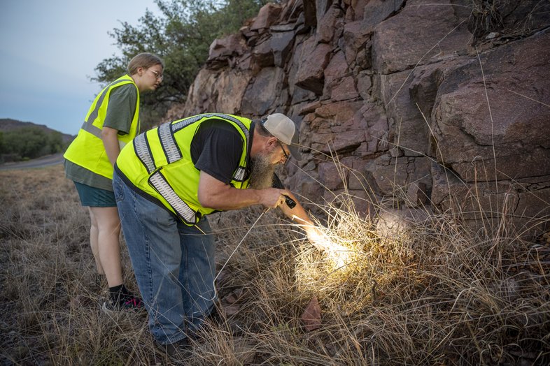Two helpers searching for snakes with flashlights along road cut side in Fort Davis Texas